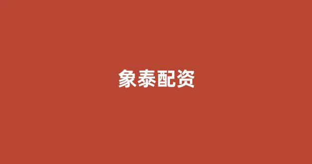 股票配资什么意思